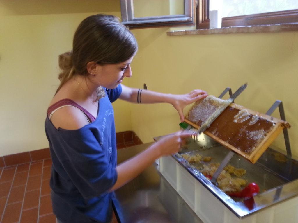 Agriturismo Villa Mazzi Montepulciano Stazione 외부 사진