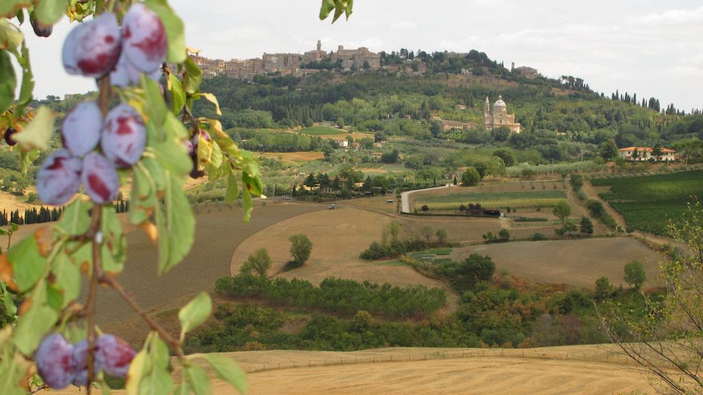 Agriturismo Villa Mazzi Montepulciano Stazione 외부 사진