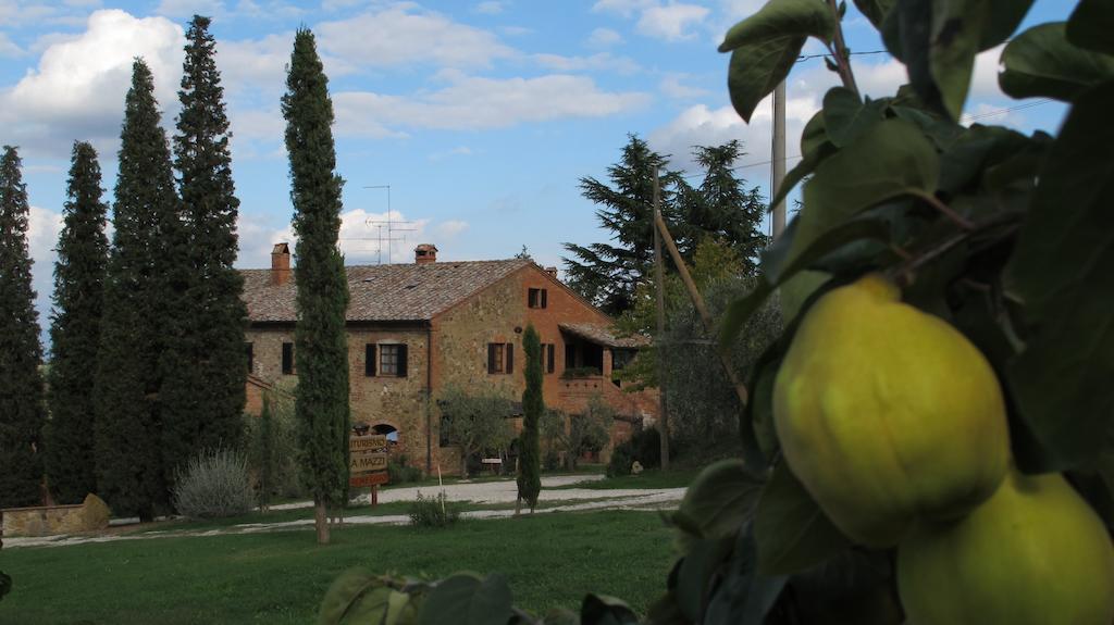 Agriturismo Villa Mazzi Montepulciano Stazione 외부 사진